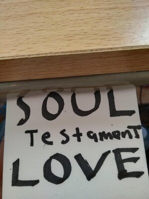 cover image of Soul Testament